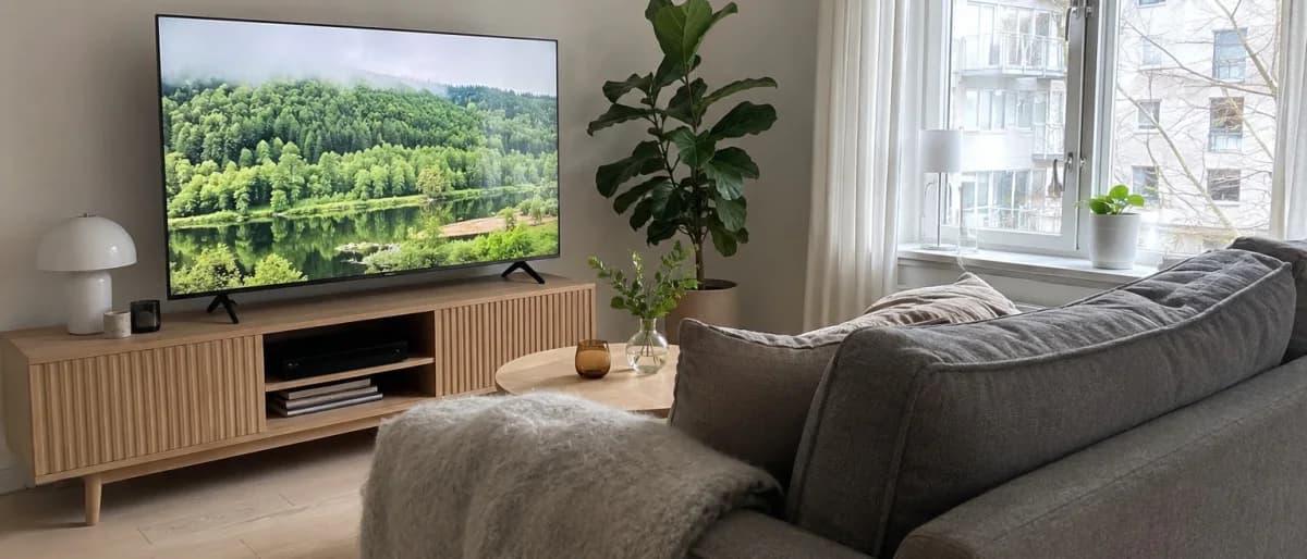 65 tums TV på en tv-bänk i ett vardagsrum med soffa och stora fönster