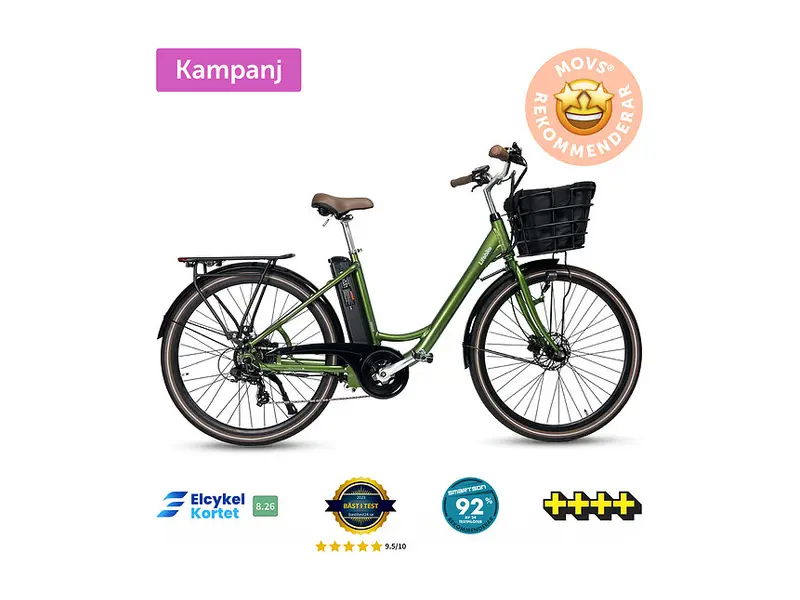 Lifebike Comfort G13